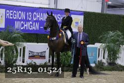 25R13_01524 thumbnail