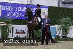 25R13_01525 thumbnail