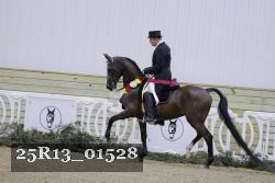 25R13_01528 thumbnail