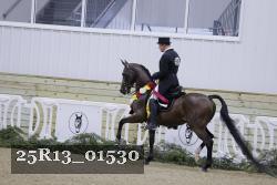 25R13_01530 thumbnail