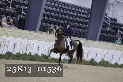 25R13_01536 thumbnail