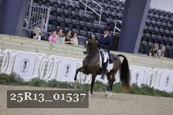 25R13_01537 thumbnail