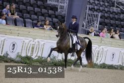 25R13_01538 thumbnail