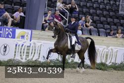 25R13_01539 thumbnail