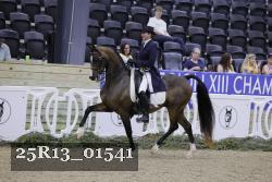 25R13_01541 thumbnail