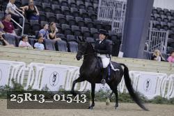 25R13_01543 thumbnail
