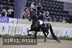 25R13_01544 thumbnail