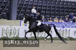 25R13_01546 thumbnail
