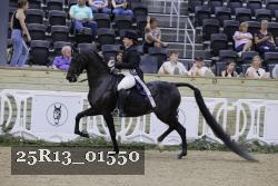 25R13_01550 thumbnail