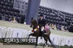 25R13_01552 thumbnail