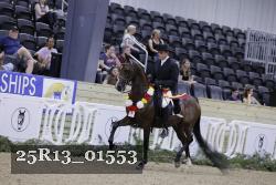 25R13_01553 thumbnail