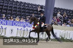 25R13_01554 thumbnail