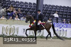 25R13_01555 thumbnail