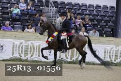 25R13_01556 thumbnail