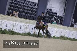 25R13_01557 thumbnail