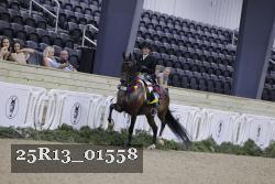 25R13_01558 thumbnail