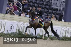 25R13_01560 thumbnail