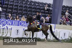 25R13_01561 thumbnail