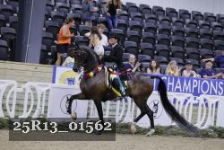 25R13_01562 thumbnail