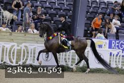 25R13_01563 thumbnail