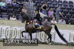 25R13_01564 thumbnail