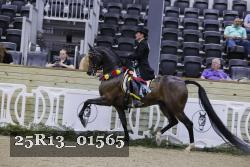 25R13_01565 thumbnail