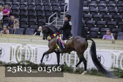 25R13_01566 thumbnail