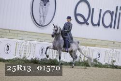25R13_01570 thumbnail
