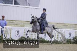 25R13_01571 thumbnail
