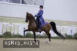 25R13_01574 thumbnail