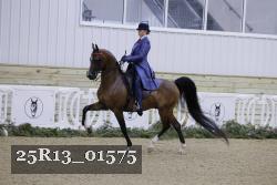 25R13_01575 thumbnail