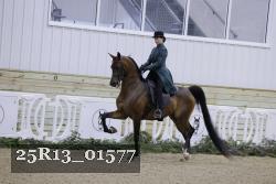 25R13_01577 thumbnail