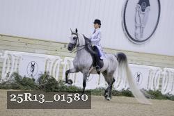 25R13_01580 thumbnail