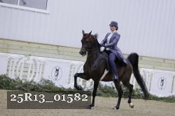 25R13_01582 thumbnail