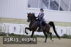 25R13_01584 thumbnail