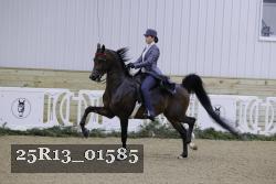 25R13_01585 thumbnail