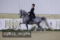 25R13_01586 thumbnail