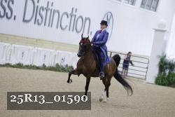25R13_01590 thumbnail