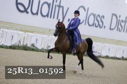 25R13_01592 thumbnail