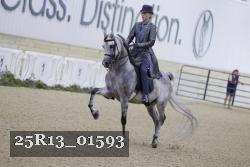 25R13_01593 thumbnail