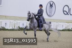25R13_01595 thumbnail