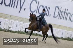 25R13_01596 thumbnail