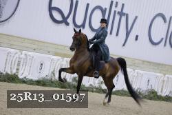 25R13_01597 thumbnail