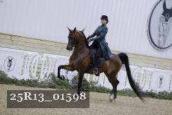 25R13_01598 thumbnail