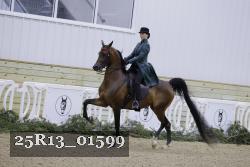 25R13_01599 thumbnail