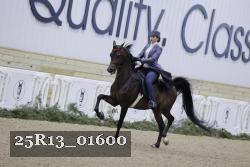 25R13_01600 thumbnail