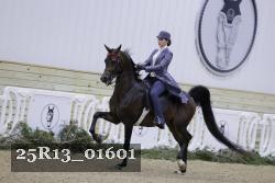25R13_01601 thumbnail