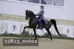 25R13_01602 thumbnail