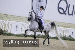25R13_01603 thumbnail