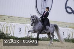 25R13_01605 thumbnail